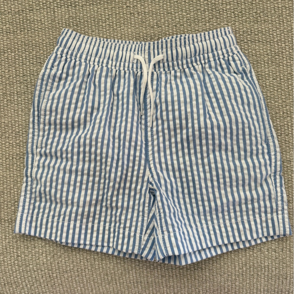Crewcuts Blue and White Striped Swim Trunks